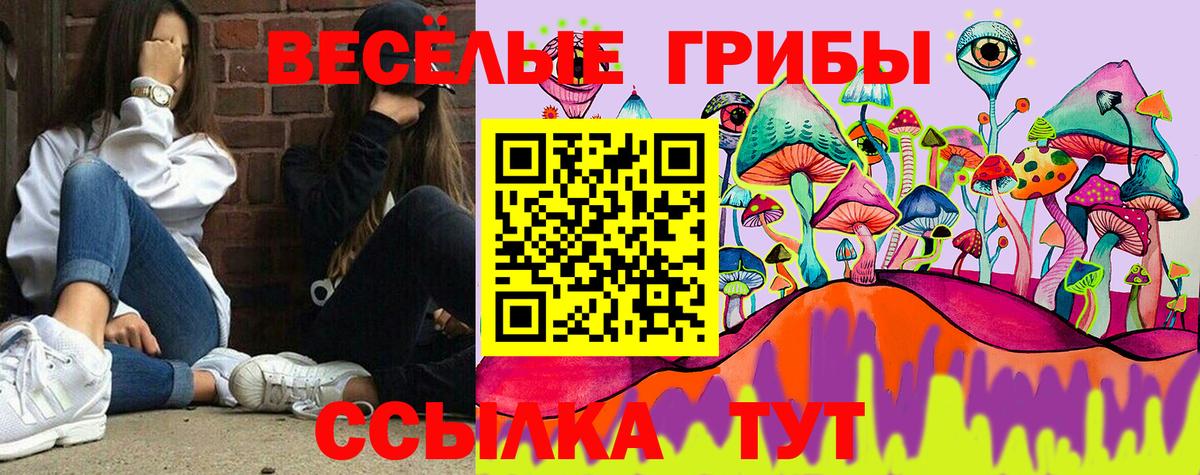 Белогорск  Псилоцибиновые грибы Psilocybe  Вход с VPN 