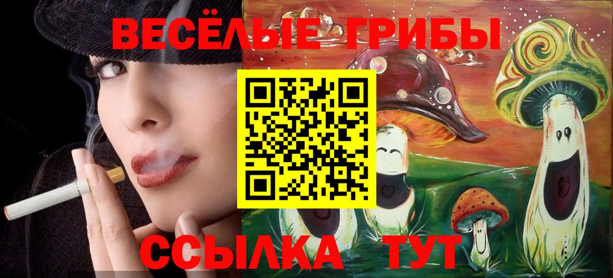 Псилоцибиновые грибы GOLDEN TEACHER Белогорск